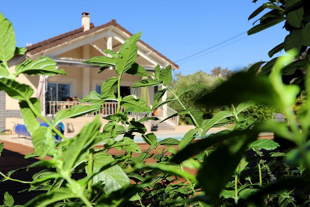 Maison Les Coquelicots Λυών Εξωτερικό φωτογραφία